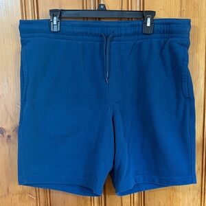 Goodfellow & Co Slate Blue Shorts